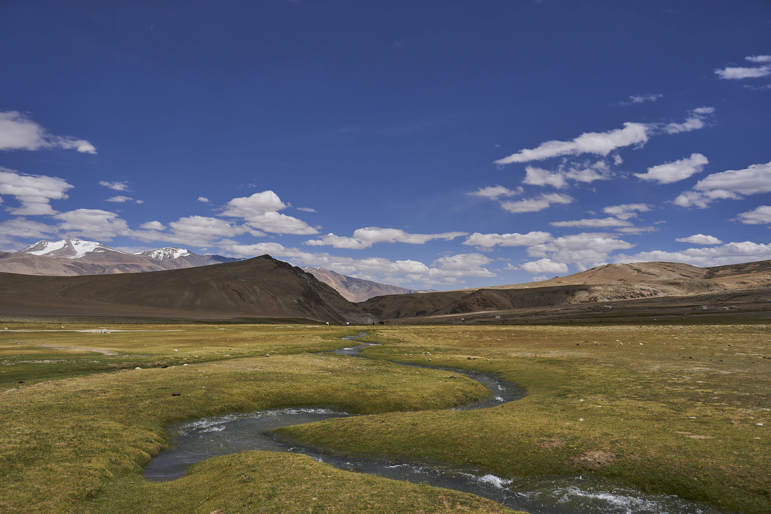 ladakh landscape