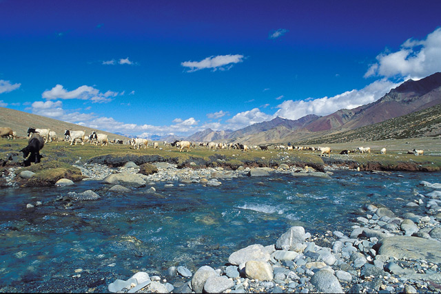 Markha Valley