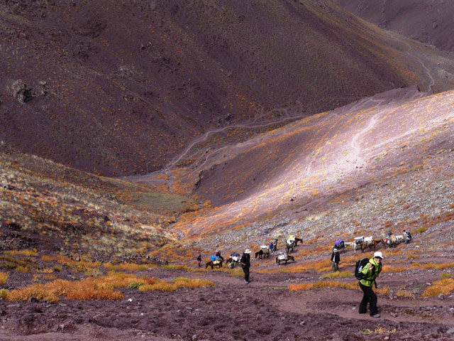 Activities in Ladakh