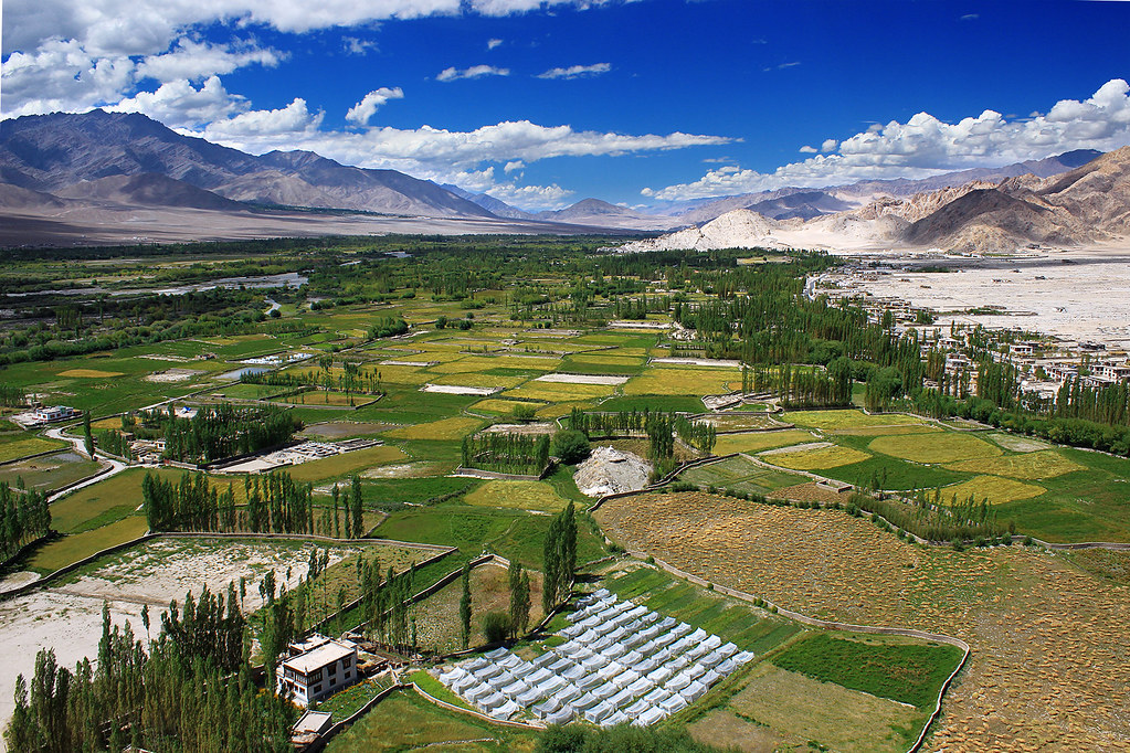 Stunning Valleys in Ladakh
